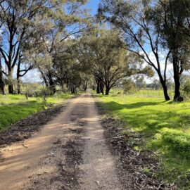 Weave through open farmland, historic sites and the Chiltern-Mt Pilot National Park on this picturesque point-to-point route.