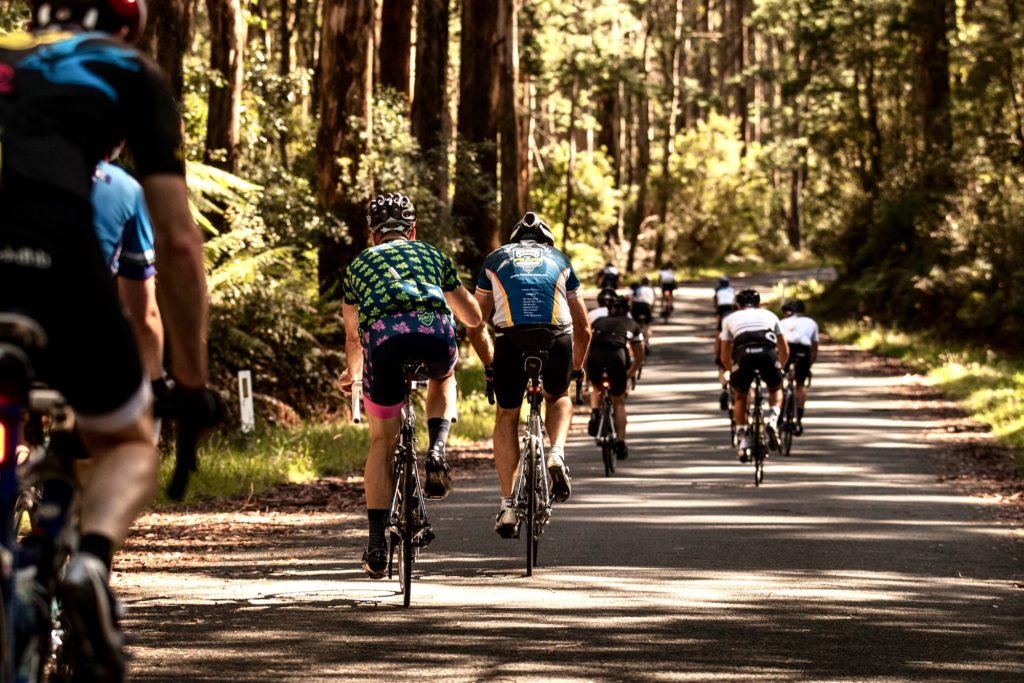 Ride High Country | 7 Peaks Mt Baw Baw