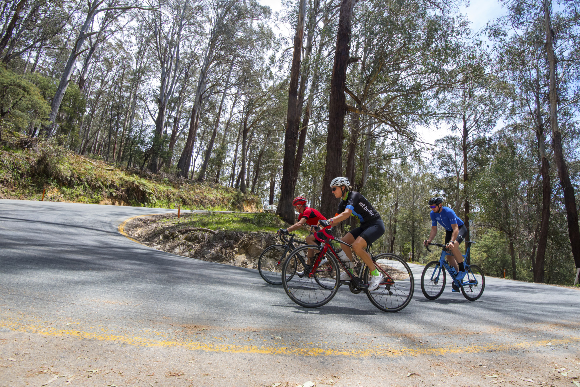 Three road cyclists riding up Mt Buller road