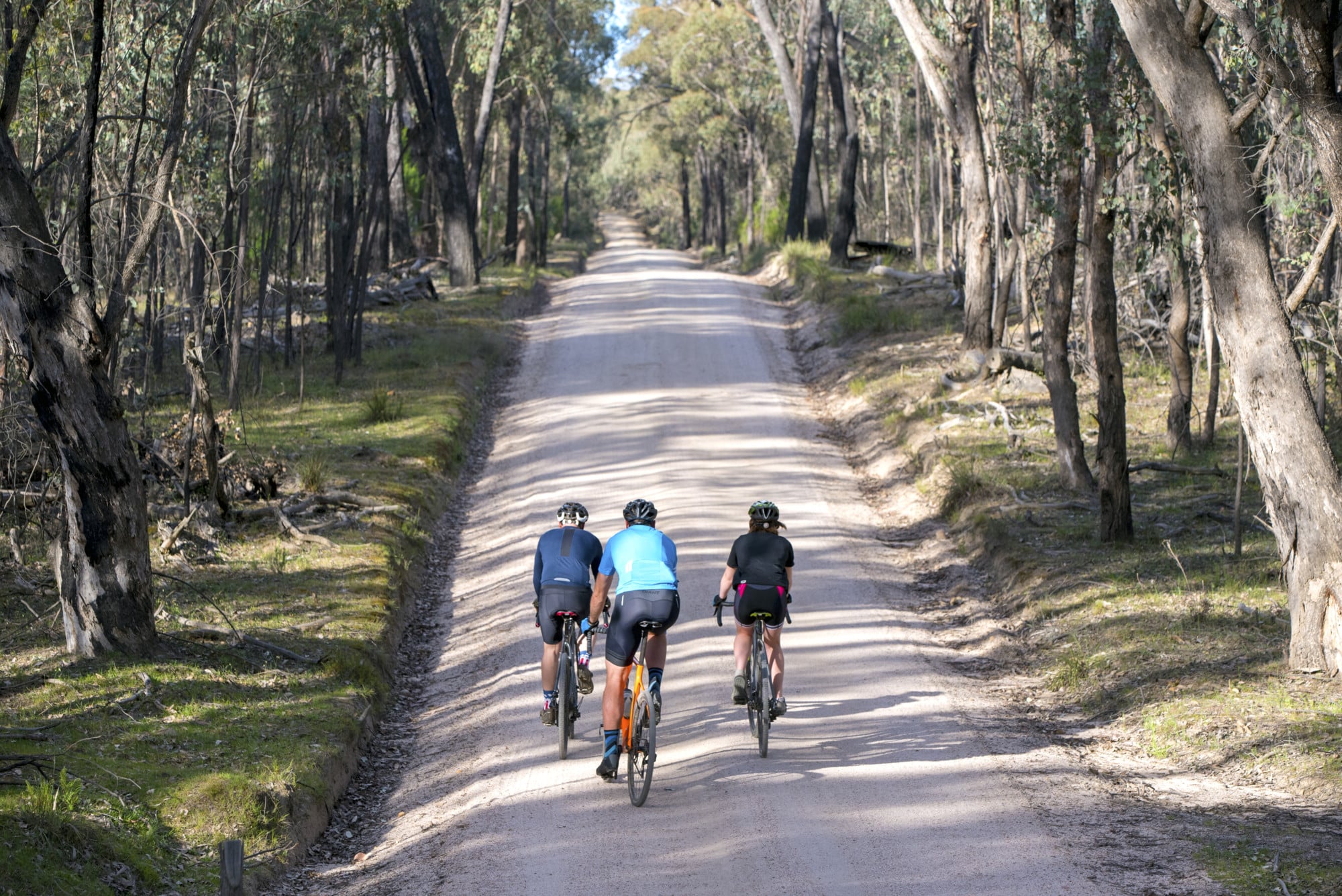 Cyclists riding the smooth gravel roads of the Mt Pilot_cHiltern national park.