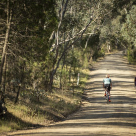 Cyclists riding a gravel road in Beechworth