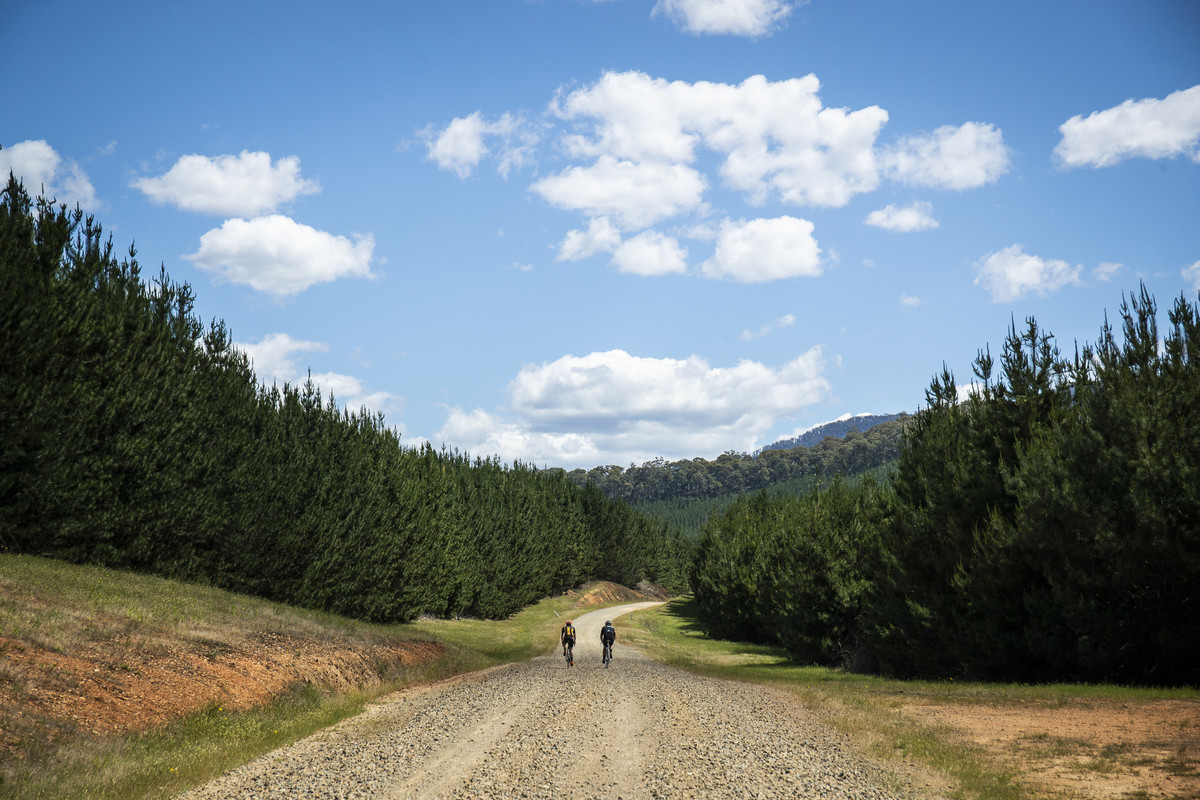 Myrtleford Gravel | Ride High Country
