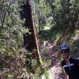 Ride High Country mountain bike trail 3rd Parallel in Mt Beauty
