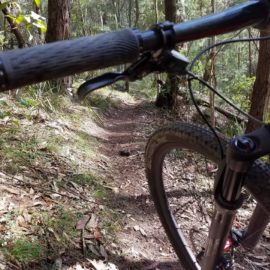 Ride High Country mountain bike trail Adam's Track in Mt Beauty