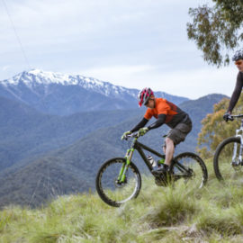Ride High Country mountain bike trail Dart Spur Track in Mt Beauty