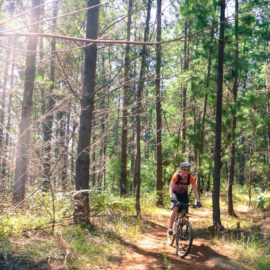 Ride High Country mountain bike trail in Bright, Victoria