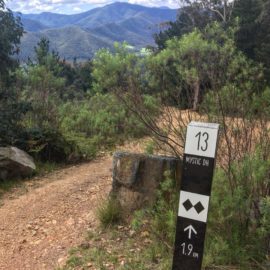 Ride High Country mountain bike Hero trail in Bright, Victoria