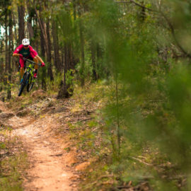 Ride High Country mountain bike trail Need Pizza in Beechworth