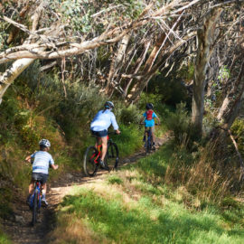 Ride High Country mountain bike trail Picnic Trail at Mt Buller