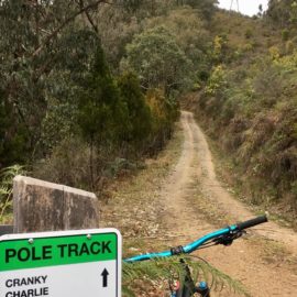Ride High Country mountain bike trail Pole Track in Mt Beauty