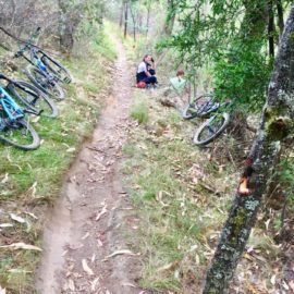 Ride High Country mountain bike trail Power Up in Mt Beauty
