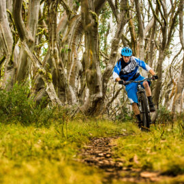 Ride High Country mountain bike trail Soul Revival at Mt Buller