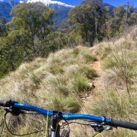 Ride High Country mountain bike trail The Claw in Mt Beauty