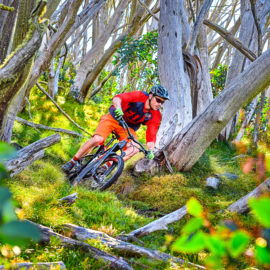 Ride High Country mountain bike trail Trigger Happy at Mt Buller
