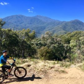 Ride High Country mountain bike trail Weekend at Bernies in Mt Beauty