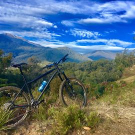 Ride High Country mountain bike trail Wombat's Log in Mt Beauty