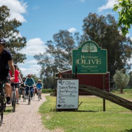 On a cycling tour in North East Victoria